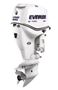 evinrude300-1.jpg