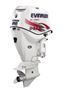 evinrude250ho-1.jpg